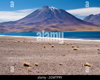 Cile, Altiplano - 26 maggio 2018 situato nell'altiplano cileno, cLaguna Miniques e Miscanti sono due dei laghi salati più belli del Sud America. Foto Stock