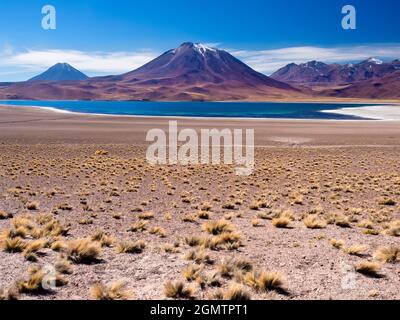 Cile, Altiplano - 26 maggio 2018 situato nell'altiplano cileno, cLaguna Miniques e Miscanti sono due dei laghi salati più belli del Sud America. Foto Stock