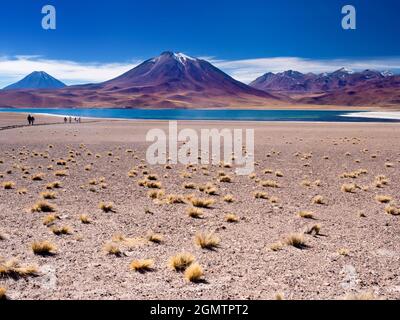 Cile, Altiplano - 26 maggio 2018 situato nell'altiplano cileno, cLaguna Miniques e Miscanti sono due dei laghi salati più belli del Sud America. Foto Stock