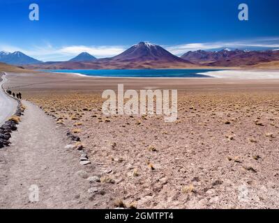 Cile, Altiplano - 26 maggio 2018 situato nell'altiplano cileno, cLaguna Miniques e Miscanti sono due dei laghi salati più belli del Sud America. Foto Stock