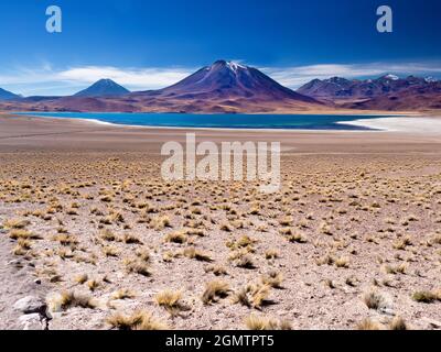 Cile, Altiplano - 26 maggio 2018 situato nell'altiplano cileno, cLaguna Miniques e Miscanti sono due dei laghi salati più belli del Sud America. Foto Stock