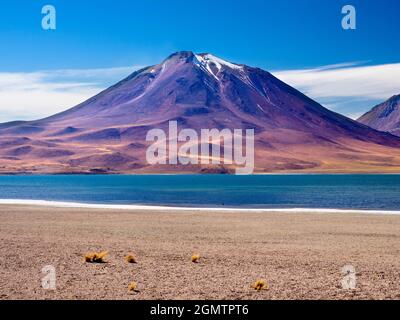 Cile, Altiplano - 26 maggio 2018 situato nell'altiplano cileno, cLaguna Miniques e Miscanti sono due dei laghi salati più belli del Sud America. Foto Stock