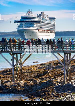 Bar Harbour, Maine USA - 8 Novembre 2013 la nave da crociera Carabi Princess ormeggiata al largo di Bar Harbor, Maine USA. Nel frattempo, i turisti si accaparte per il sightseei Foto Stock