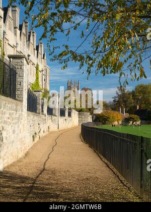 Deadman's Walk è un sentiero panoramico che corre a est-ovest nel centro di Oxford, Inghilterra, situato immediatamente a sud del Merton College, adiacente a Chr Foto Stock