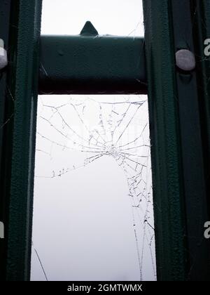 Radley Village, Oxfordshire, Inghilterra - 26 novembre 2020; No people in shot. Dovete essere in su piacevole e presto per ottenere questo colpo- ragno di mattina presto Foto Stock