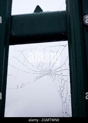 Radley Village, Oxfordshire, Inghilterra - 26 novembre 2020; No people in shot. Dovete essere in su piacevole e presto per ottenere questo colpo- ragno di mattina presto Foto Stock