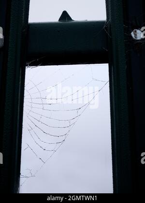 Radley Village, Oxfordshire, Inghilterra - 26 novembre 2020; No people in shot. Dovete essere in su piacevole e presto per ottenere questo colpo- ragno di mattina presto Foto Stock