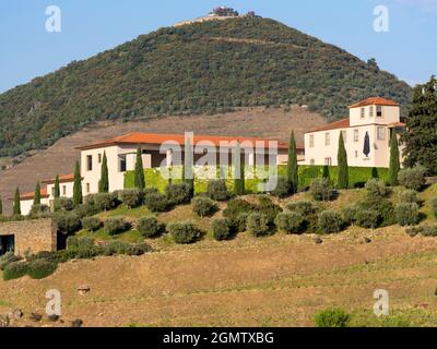 La panoramica Valle del Douro, che si estende dalla costa atlantica di Porto fino alla Spagna Centrale, è stata la prima regione vinicola al mondo Foto Stock