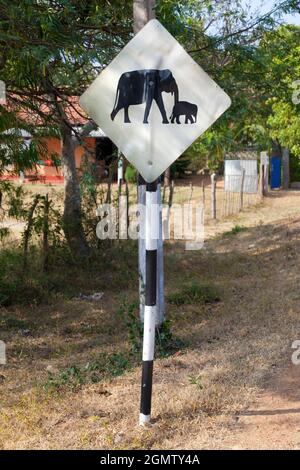 Provincia del Sud, Sri Lanka - 15 Febbraio 2014 segnale di avvertimento visto da una strada dove gli elefanti sono conosciuti per attraversare. Credetemi, per tutta una serie di reaso Foto Stock