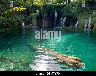 Sito patrimonio dell'umanità dell'UNESCO, il Parco Nazionale dei Laghi di Plitvice è uno dei parchi nazionali più antichi dell'Europa sudorientale e il più grande della Croazia. Ha Foto Stock