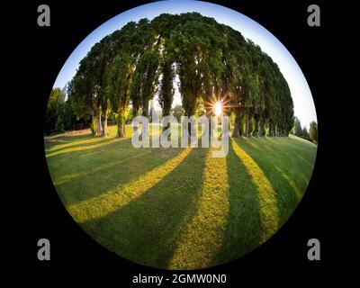 Abingdon, Inghilterra - 24 giugno 2020; non ci sono persone a colpi di arma da fuoco. Abbey Fields è un parco pubblico adiacente al Tamigi ad Abingdon, Oxfordshire. Prende il relativo Foto Stock