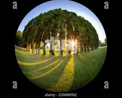 Abingdon, Inghilterra - 24 giugno 2020; non ci sono persone a colpi di arma da fuoco. Abbey Fields è un parco pubblico adiacente al Tamigi ad Abingdon, Oxfordshire. Prende il relativo Foto Stock