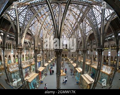 Oxford, Inghilterra - 2014; il Pitt Rivers Museum è un museo che espone le collezioni archeologiche e antropologiche dell'Università di Oxford. Foto Stock