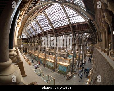 Oxford, Inghilterra - 2014; il Pitt Rivers Museum è un museo che espone le collezioni archeologiche e antropologiche dell'Università di Oxford. Foto Stock