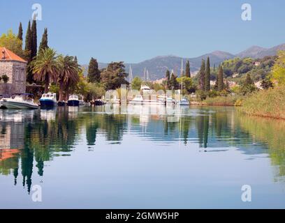 Trstino è una piccola città vicino a Dubrovnik, nel sud della Croazia, situata in una posizione panoramica sul mare Adriatico. E 'più famoso per il suo arboreto e ga Foto Stock