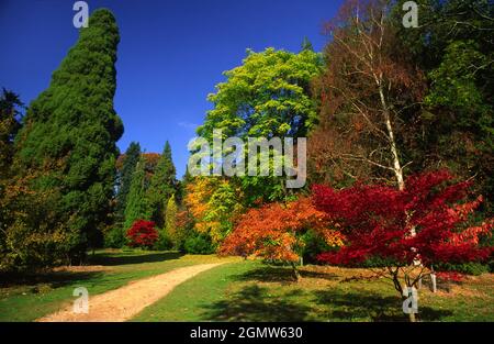 Batsford, Gloucestershire - 2003; Batsford Arboretum si trova a solo un miglio e mezzo dalla storica cittadina di mercato Cotswold di Moreton-in-Marsh. IT Foto Stock