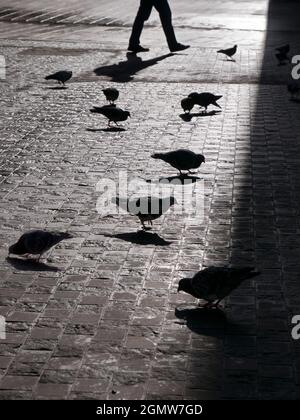 Oxford, Inghilterra - 15 Febbraio 2018 Bonn Square a Oxford, Inghilterra, prende il nome dalla città tedesca di Bonn con la quale Oxford è gemellata. È vicino a. Foto Stock