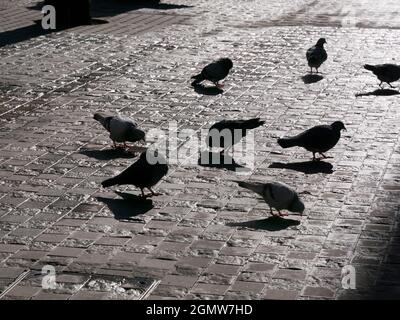 Oxford, Inghilterra - 15 Febbraio 2018 Bonn Square a Oxford, Inghilterra, prende il nome dalla città tedesca di Bonn con la quale Oxford è gemellata. È vicino a. Foto Stock