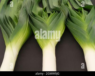 Malvern, Worcestershire, UK - 2011; ad eccezione delle pandemie, l'annuale Festival Malvern è una vetrina per il meglio dei prodotti britannici. Come vincitore di premi Foto Stock