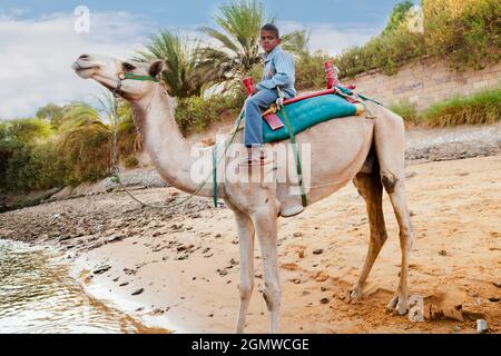 Assuan, Egitto - 3 dicembre 2010; un ragazzo nel colpo. La riva occidentale del Nilo e il deserto nubiano adiacente è molto caldo anche a metà inverno. Così questo ca Foto Stock