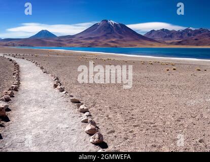 Altiplano cileno - 26 maggio 2018 situato nell'altiplano cileno, Laguna Miniques e Miscanti sono due dei laghi salati più belli del Sud America. Foto Stock