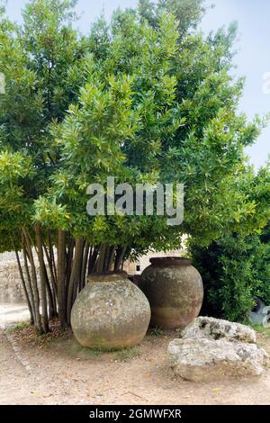 Catania, Sicilia, Italia - 22 settembre 2019 massicce pentole di pietra e un vecchio muro in un giardino all'esterno di un'antica villa vicino a Catania sulla costa orientale della Sicilia Foto Stock