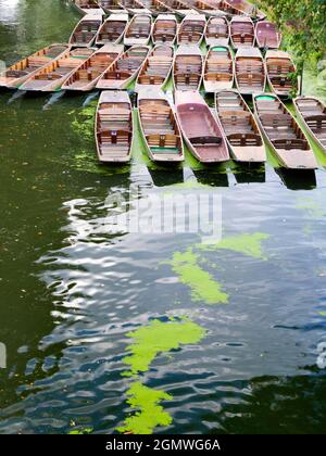 Oxford, Inghilterra - 5 settembre 2019; una scena tranquilla da Magdalen Bridge sul fiume Cherwell a Oxford, Inghilterra. Questo è un luogo famoso per il pugno Foto Stock