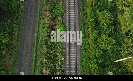 Rotaie attraverso la foresta e campo. Strada sterrata, natura attorno ai binari ferroviari. Foto Stock