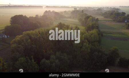 Vista aerea, nebbia mattutina all'alba, volo sugli alberi e valle nella campagna Foto Stock