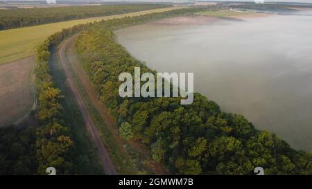 La foresta ferroviaria e il campo sono coperti di nebbia mattutina Foto Stock
