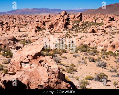 Deserto di Siloli, Bolivia - 25 maggio 2018 il Desierto de Siloli è un deserto di montagna alto e asciutto situato nell'Altiplano, nella Bolivia sud-occidentale; la maggior parte di t Foto Stock