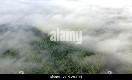 Foresta nella nebbia vista aerea. Mattina paesaggio autunno al tramonto Foto Stock