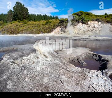 Rotorua, Nuova Zelanda - 1 marzo 2019; Rotorua, nell'Isola del Nord della Nuova Zelanda, è un'area estesa ricca di sfiati geotermici, sorgenti di fango bollente, su Foto Stock