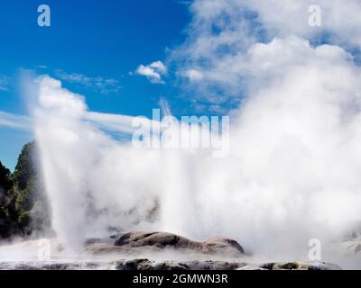 Rotorua, Nuova Zelanda - 1 marzo 2019; Rotorua, nell'Isola del Nord della Nuova Zelanda, è un'area estesa ricca di sfiati geotermici, sorgenti di fango bollente, su Foto Stock