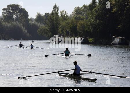 River Thames, Oxford, Inghilterra; membri dell'università che remano. Praticare canottaggio sul Tamigi a Oxford, appena a monte del Folly Bridge. È un Autum nebbiosa Foto Stock