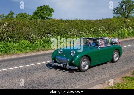 1959 50s Green Austin Healey Frog Eye Sprite, 2dr vettura sportiva britannica lungo il tragitto per Capesthorne Hall Classic May car show, Cheshire, Regno Unito Foto Stock