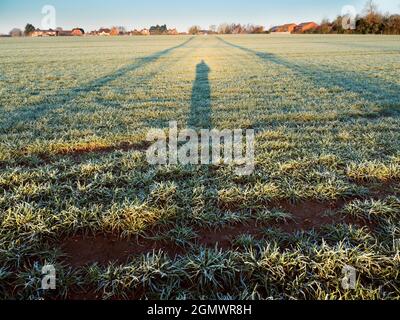 Oxfordshire, Inghilterra - 27 Febbraio 2021; nessuna gente in vista. Amo i piloni elettrici; trovo le loro forme astratte e gaunt infinitamente affascinanti. E Foto Stock