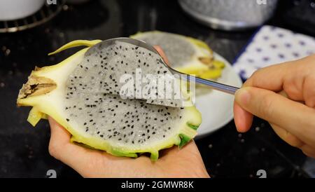 Mano che tiene metà di un frutto giallo del drago, raccogliendo la sua carne con un cucchiaio di metallo con l'altra mano. Foto Stock