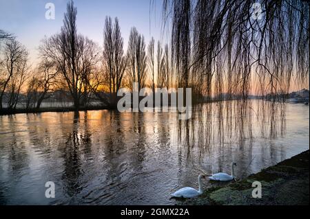 Abingdon, Inghilterra - 19 gennaio 2020 il Saint Helen's Wharf è un luogo di bellezza famoso sul Tamigi, appena a monte del ponte medievale di Abingdo Foto Stock