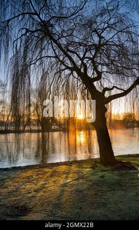 St Helens Wharf, Abingdon, Inghilterra - 19 gennaio 2020 Saint Helen's Wharf è un luogo di bellezza famoso sul Tamigi, appena a monte del medievale Foto Stock