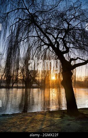 St Helens Wharf, Abingdon, Inghilterra - 19 gennaio 2020 Saint Helen's Wharf è un luogo di bellezza famoso sul Tamigi, appena a monte del medievale Foto Stock