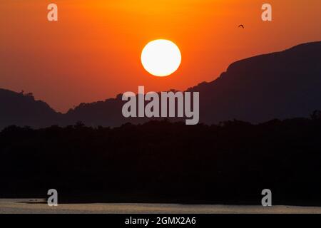 Kandalama, Sri Lanka - 10 febbraio 2014 il lago Kandalama nello Sri Lanka centrale è in realtà un serbatoio e l'approvvigionamento idrico di irrigazione creato da smorzare il Foto Stock