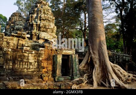 TA Phrom, Cambogia - 19 gennaio 2005; Ta Prohm è un tempio famoso ad Angkor, nella provincia di Siem Reap, in Cambogia. E 'stato costruito in stile Bayon, grande Foto Stock