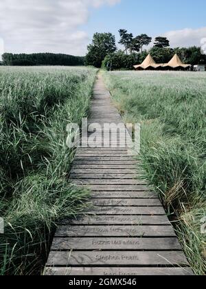 La passerella di anatra chiamata attraverso i letti di canna a Snape Maltings è un complesso artistico sulle rive del fiume Alde a Snape, Suffolk, Inghilterra. Foto Stock