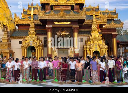 Situato sulla collina di Singuttara nel centro di Yangon (Rangoon), Myanmar, la Pagoda di Shwedagon è la pagoda buddista più sacra in Myanmar, come è la sua fidenza Foto Stock