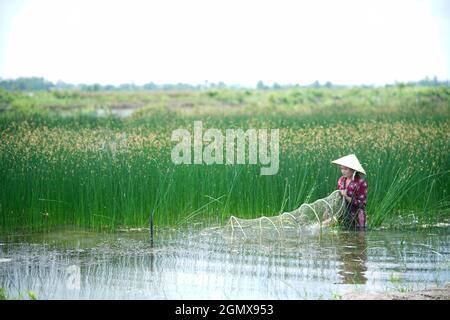 Bel paesaggio nella provincia di CA Mau Vietnam meridionale Foto Stock