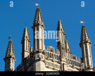 Magdalen è uno dei più grandi e antichi college dell'Università di Oxford. Si trova accanto al fiume Cherwell e ha all'interno del suo terreno un cervo pa Foto Stock