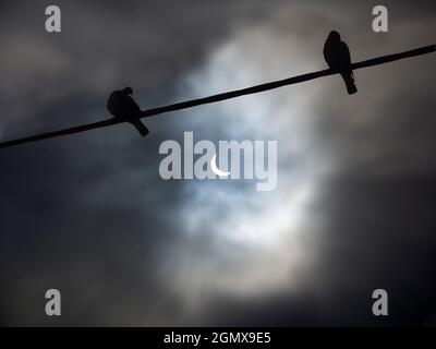 20 marzo 2015 - Oxfordshire, Inghilterra c'era un solare parziale visibile da parti del Regno Unito e dell'Europa la mattina del 20 marzo 2015.This immagine sho Foto Stock