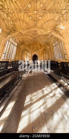 All'interno della Divinity School della Bodleian Library della Oxford University, Inghilterra. Questa famosa sala medievale è abbellita da un elaborato soffitto intagliato Foto Stock