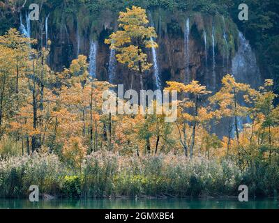 Sito patrimonio dell'umanità dell'UNESCO, il Parco Nazionale dei Laghi di Plitvice è uno dei parchi nazionali più antichi dell'Europa sudorientale e il più grande della Croazia. Ha Foto Stock